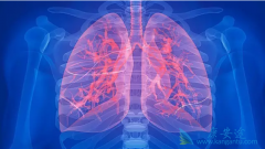 ��Сϸ���ΰ��ǵ��°�֢�����������Ҫԭ��֮һ