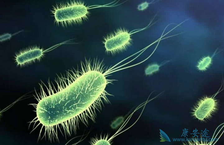 ���Ԥ����֢