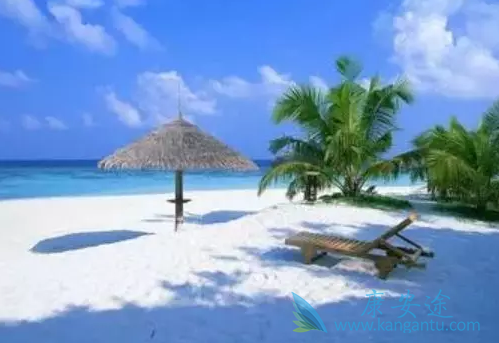 ҽ������