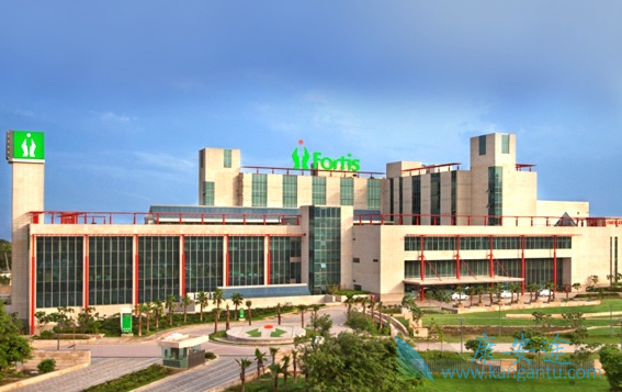 ����ҽ��