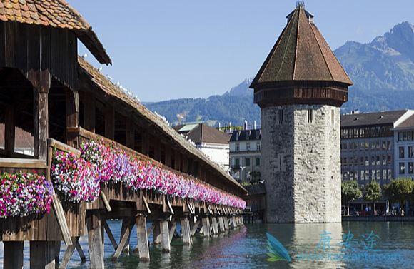 ҽ������