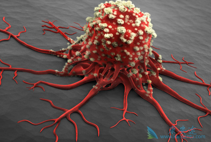 ��֢�ᴫȾ��