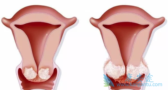 ������֢״