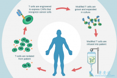 FADA��׼������CAR-Tϸ���Ʒ�KYMRIAH�Ŀ�������Ӧ֢