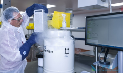 ���»𱬵��������Ʒ���CAR-Tϸ�������Ʒ���ʲô��