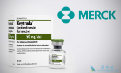 ��ȷ��־���ǽ���PD-1���Ƽ���׼�������Ƶ�ǰ��