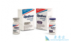 Opdivo��ȫ���׸����е�PD-1�������Ƽ���ҩ��