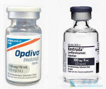 PD-1���Ƽ���ҩ��Ϊ��֢���ߴ������µ��������