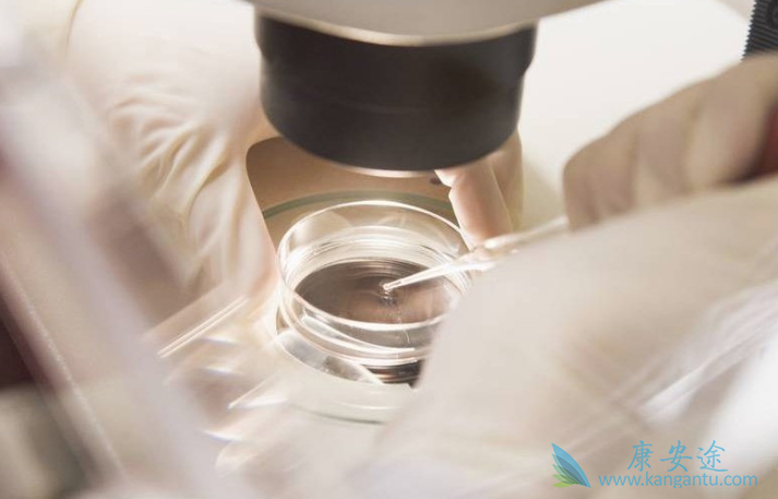 泰国试管婴儿费用 泰国试管婴儿费用