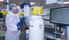 CAR-Tϸ�������Ʒ��������ڽ�����ѪҺ����