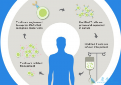 Yescartass��ȫ���׸���Էǻ�����ܰ������Ƶ�CAR0Tϸ������