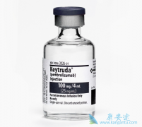 PD-1���Ƽ��������ƿ��Դ��������߼������Ƽ�����Ч��