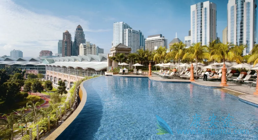 ҽ������