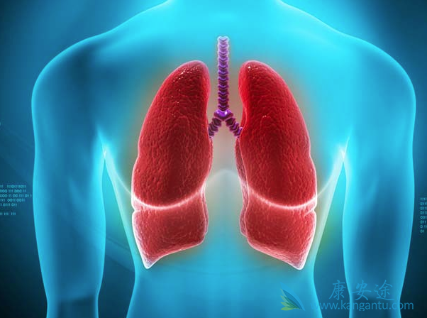 肺癌药物 肺癌药物