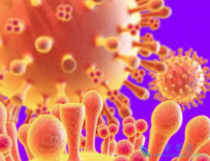 �ΰ����ڻ��ܻ���ȡ�����������������