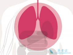 �ΰ������ܻ����ص����ڻ����������ҵ�������