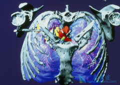 ���ڷΰ�����ǰ����Ӧ��ǿӪ����ǿ����