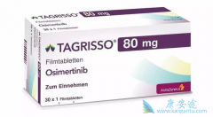 ���߷��ð�ϣ���ᣨOSIMERTINIB���ڼ����ѪС�������ô��