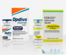 �������а�֢����ʹ��PD-1���Ƽ����ƶ���Ч