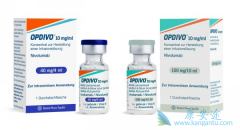 ������߼�����ϵ�ҩ��Ҫ��PD-1/PD-L1Ϊ��