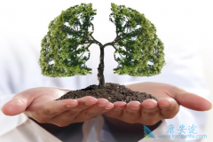 �����������Ʒ�Сϸ���ΰ�����Ч���÷�ʽ