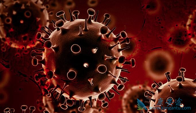 ��Сϸ���ΰ�