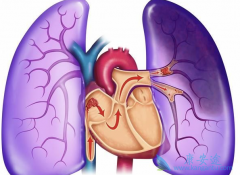 Ϊ����ϸ����ʲô�Ƿ�Сϸ���ΰ�������