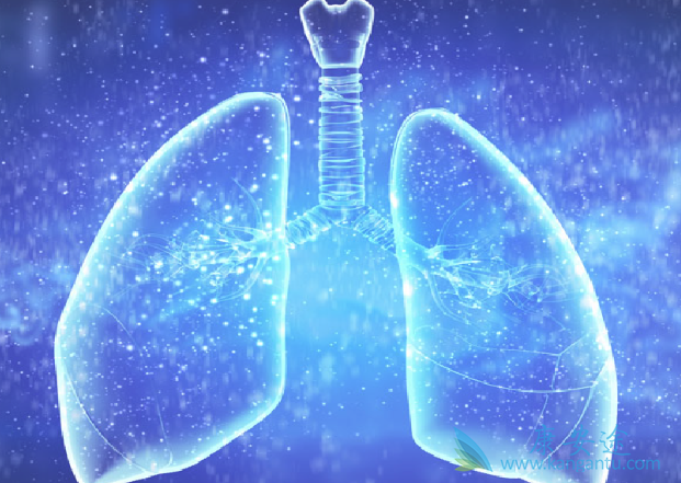 什么是非小细胞肺癌 什么是非小细胞肺癌