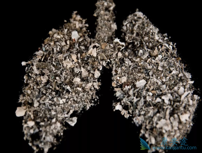 Сϸ���ΰ�������