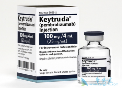 ���׿�����ҩKeytruda��PD-1��Ͽ��������ϸ��������