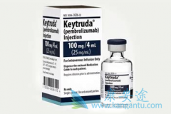 ����ʹ��PD-1����Keytruda�೤ʱ�����ͣҩ��������