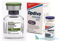 ΢���ǲ��ȶ��Ļ���ʹ��PD-1���Ƽ�����Ч����