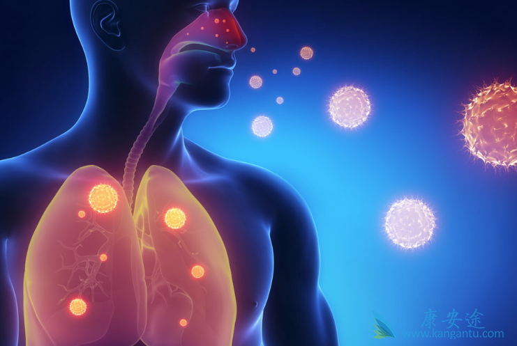 ٤�굶���Ʒΰ�