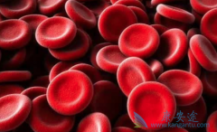 ��ɼ�����Ʒΰ��ĳ���������Ӧ����Щ