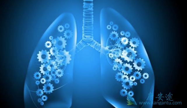 ���ڷΰ�����