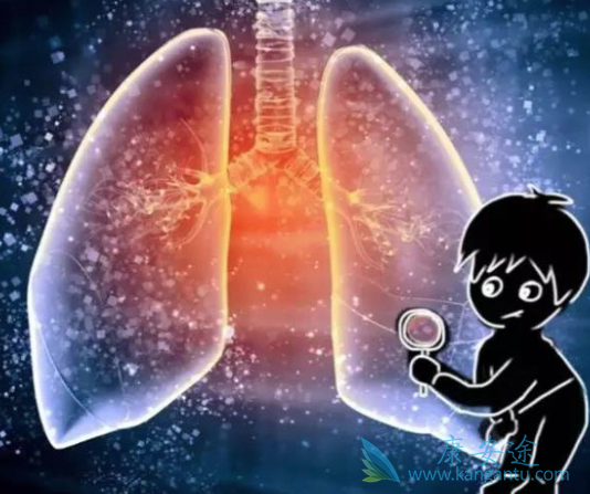 ���ڷΰ�����