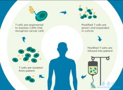 ȥ�����е�����CAR-Tϸ�����Ʒ������ذ���֢�����Ʒ�