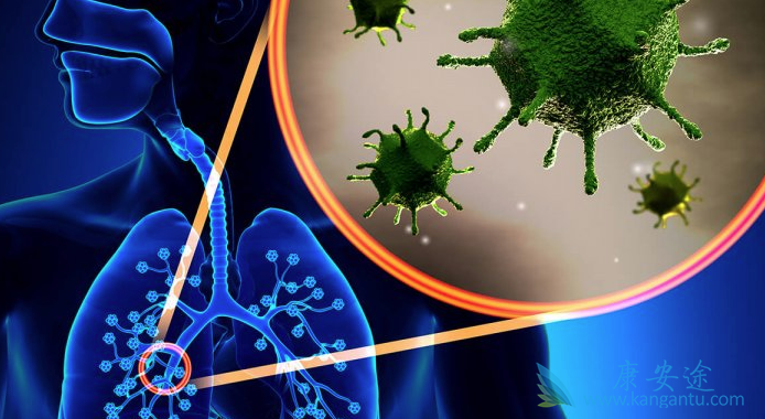 �ΰ������Ʒ���