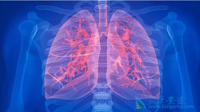 ���ڷΰ�����