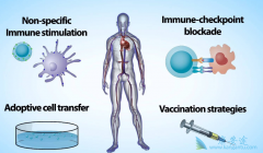 ĳ�̶ֳ��Ͽ�CAR-Tϸ�������Ʒ��ķ��ò�����