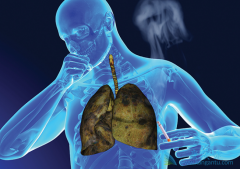 ��ѧ��Ч�����ڷΰ������Ʒ���������������