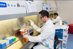 ��֢�����Ʒ�CAR-Tϸ�����Ʒ������ۼ�ʮ����Ԫ��ԭ��