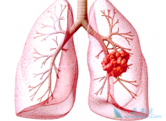 ���ֻ��������ڷΰ�������������ѡ�����