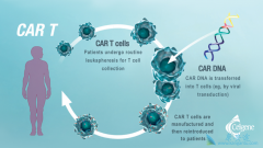 CAR-Tϸ�����Ʒ���KYMRIAH����ʵ��Ч��ô����