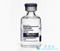 PD-1���Ƽ�keytruda����������Щ��֢