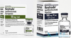 ���߶�PD-1���Ƽ���ҩ�����ô��