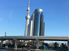 �ձ�ҽ�����ε������Ŀ���Ը��Ի�ѡ��