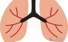 ���ڷΰ�������ȡ������Щ�ؼ�����