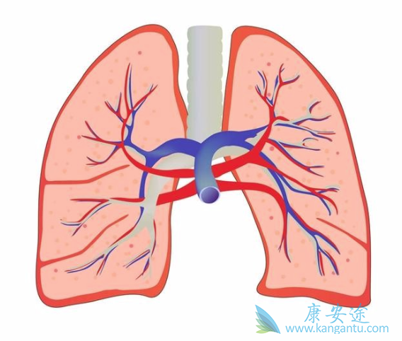 �ΰ���õ����Ʒ���