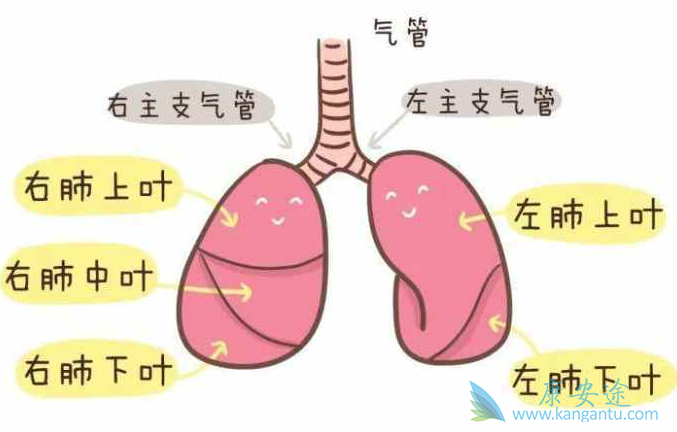 �ΰ���õ����Ʒ���